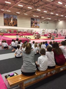 Durham Dales Schools Gymnastics Festival