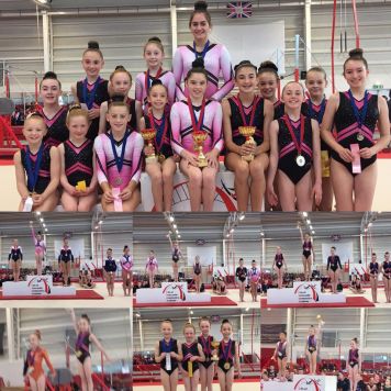 North Voluntary Levels 2017