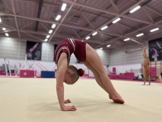 Additional Training Sessions: Preparation, Development & Advanced Gymnasts