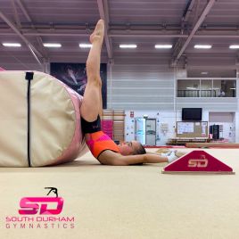 Private Lessons - Recreational Gymnasts
